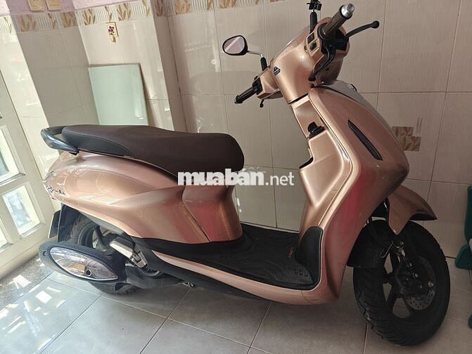 Xe cần bán