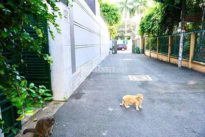 BÁN GẤP NHÀ  đường số 3, phường Bình An Quận 2
, DT 100M2- XD 3 LẦU -