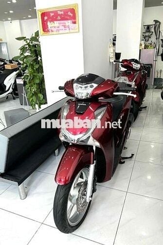 🇻🇳Sh150 cbs bs thành phố full zin