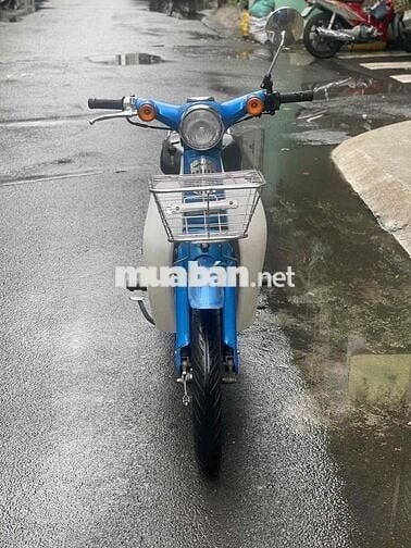 cúp 50 TQ cho học sinh đi học xe đẹp