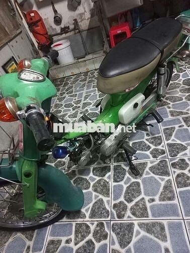 Honda dame