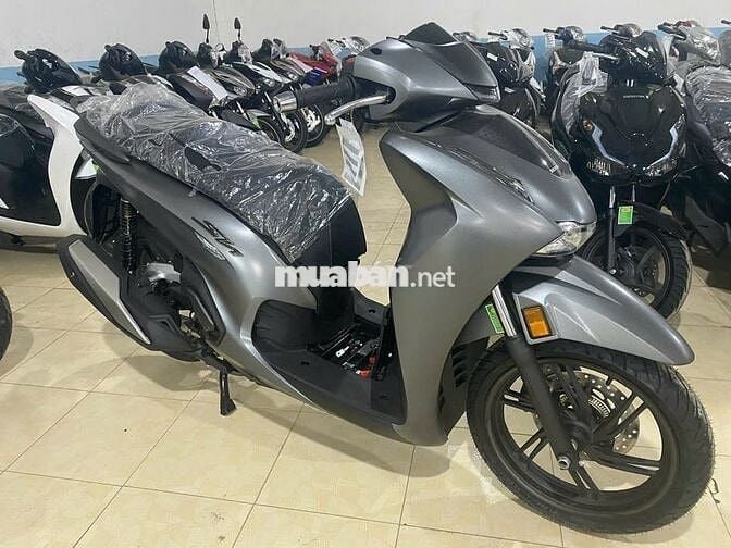 Sh350 2025 152 củ bao tên tphcm
