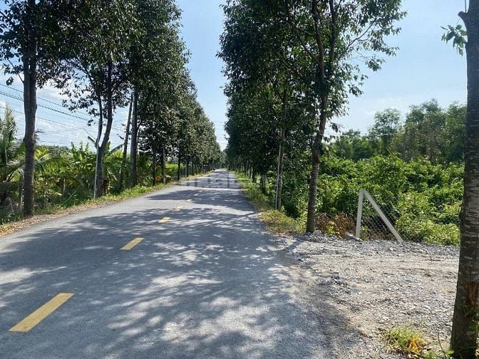2880m2 đất MT (300m2 thổ cư) tại Ấp 10,Lương Hòa, Bến Lức, Long An