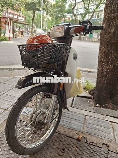 Thừa xe bán dream thái