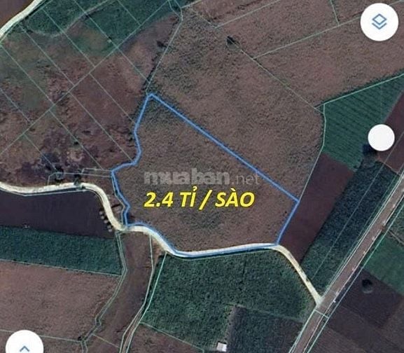 Bán đất 7390 m2 Chính Chủ - Xã Láng Dài -Bà Rịa Vũng Tàu