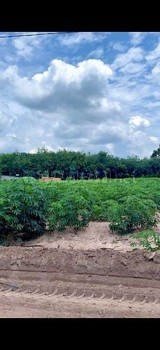 SỞ HỮU ĐẤT XÀO-ĐÓN ĐẦU NGỌN SÓNG TĂNG TRƯỞNG