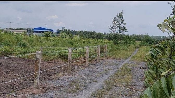 Đất vườn 2000m²=(20×100)m, sổ sẵn, tl 818 vào 500m,xe hơi trước đất.