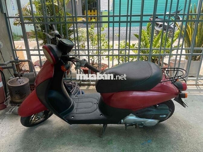 Xe honda today 50cc