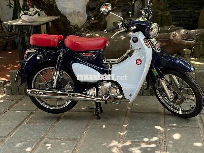 cud 125 dk 2023