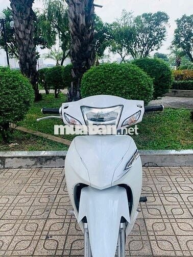 wave 2O2O biển tp chính chủ 54 zz