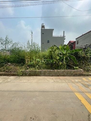 chính chủ cần bán 50m thổ cư tại tổ 9 quang minh sát với kcn và kdt