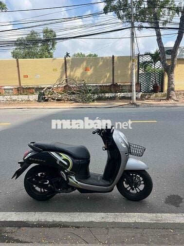 chán scoopy cần bán