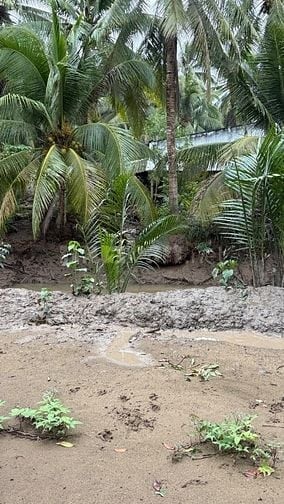 BÁN ĐẤT CÔNG NGHIỆP – 825M² (15x55) – CÁCH QL57 CHỈ 500M – ĐA PHƯỚC HỘ