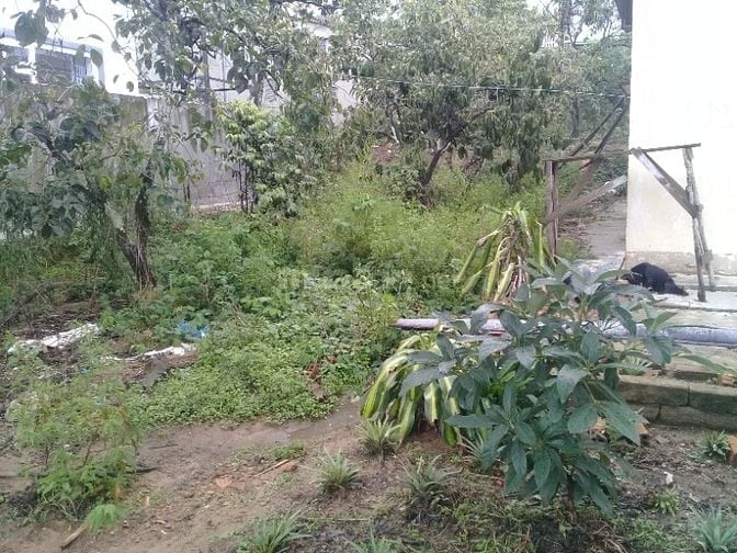 Bán đất nông nghiệp đường Huyền Trân Công Chúa thành phố Đà Lạt 