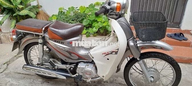 Xe Cub 50