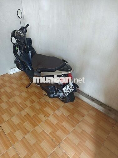 Thanh lý xe Yamaha latte 2024
