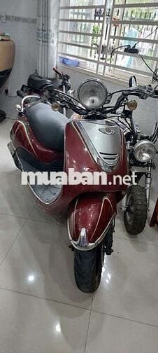 Bán xe Cello thời trang