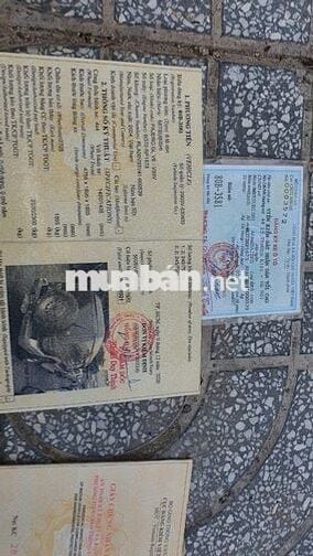 Isuzu Trooper 1998  - 350000 km   xe nhập nhật Bản