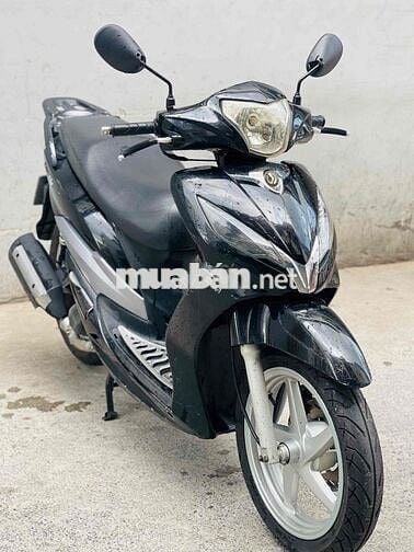 SYM shark biển 71