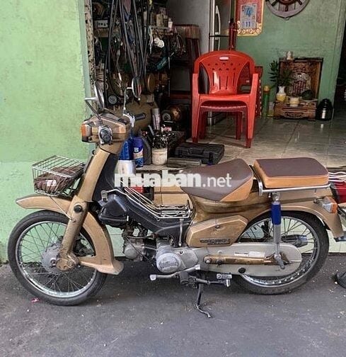 Cub 84 50cc