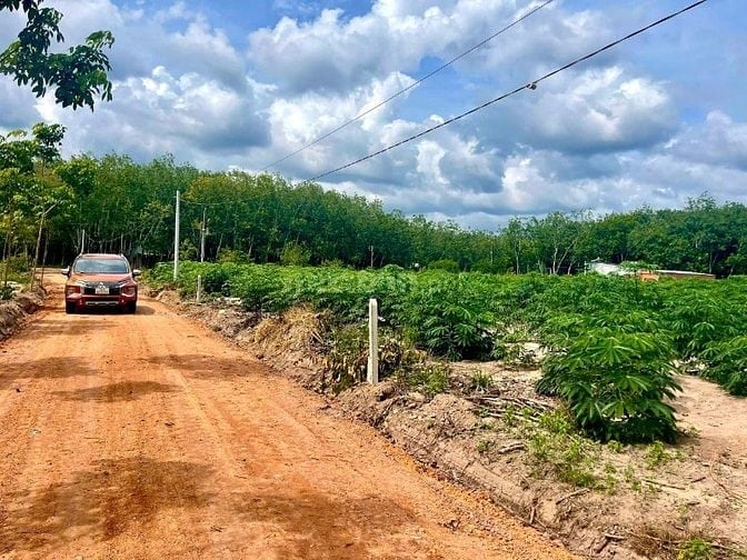 8 LÔ ĐẤT NGỘP TP.HCM CẦN TÌM CHỦ NHÂN