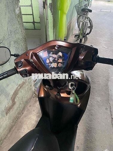 Vison 2014 9 chu mat cavvet bao tranh chấp