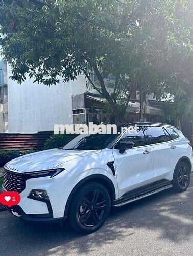 Ford Territory 2024 Titanium X 1.5 AT - 11500 km