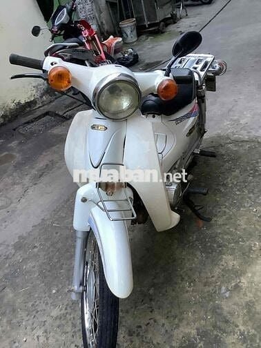 Cub 50 màu trắng cho học sinh đi học