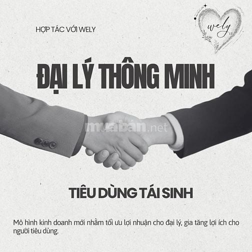 Wely chuyển nhượng mô hình: Đại lý thông minh - Tiêu dùng tái sinh
