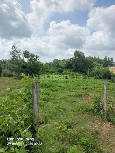 Cần bán đất châu dức, quý khách có nhu cầu liên hệ 0899511689
