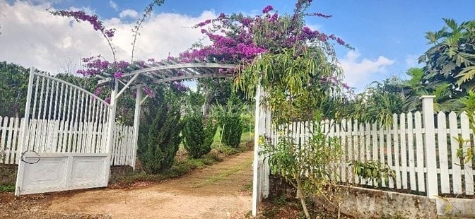 nhà biệt thự vườn 6000m2 ven đà lạt