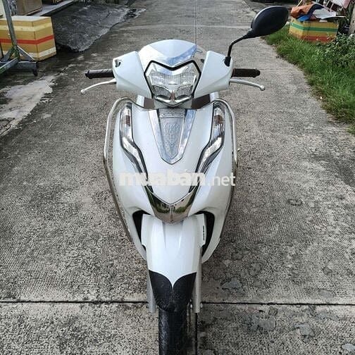 Lead 125cc 2019
