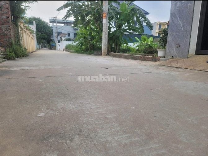 chính chủ bán 65m tổ 9 quang minh đất vuông đẹp đâu tư xây ở đều đẹp