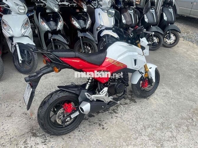msx 2020 nhập thái