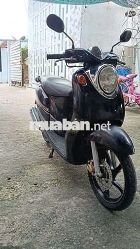 Xe nhập nguyên con thái lan