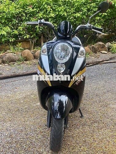 Elite 50cc/ 2019