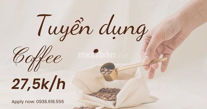 Việc làm thêm sinh viên - Không cần kinh nghiệm