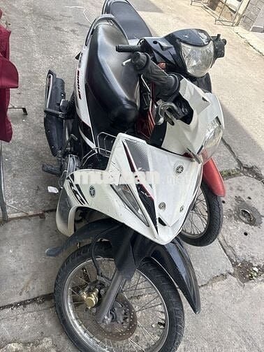 Cần bán sirus