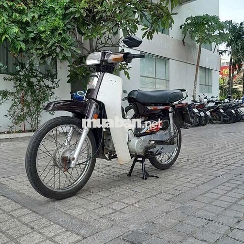 Xe Honda citi
