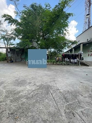 Bán nhà 4 tầng 8x20m full thổ cư, 10 phòng đang cho thuê, Nguyễn Văn T