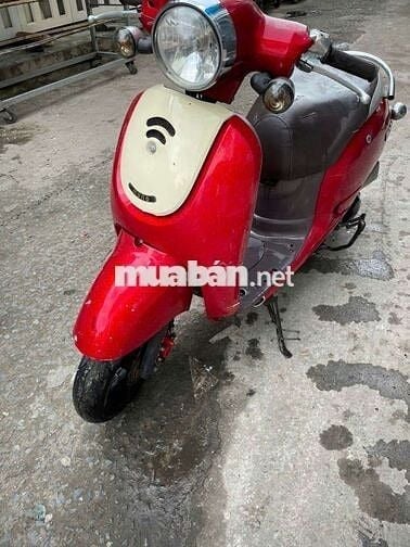 XE FIGIORMON Giấy tờ đầy đủ