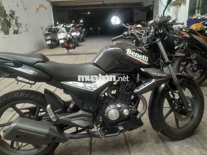 Benelli côn tay