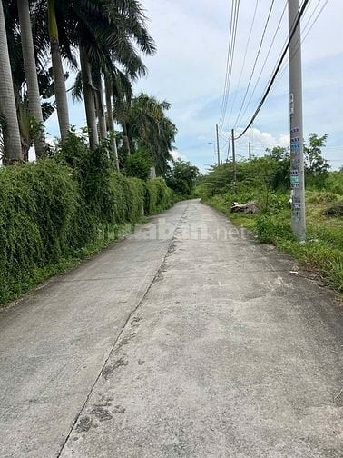 BÁN ĐẤT MẶT TIỀN LÊ THỊ KIM – XUÂN THỚI SƠN – HÓC MÔN