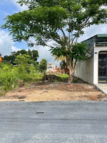 CHỦ GỬI BÁN ĐẤT(6,2X37) 277m2THỔ 105M2 MẶT TIỀN NHỰA ,TRUNG TÂM TTCC