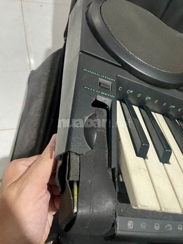 Bán đàn Organ Casio CTK-731 ( Dĩ An )