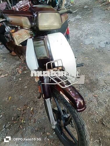 Sanda Boss Đài Loan