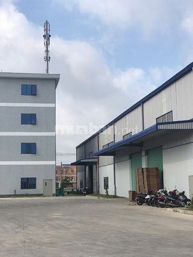 Thời vụ làm công ty giấy làm nhàn