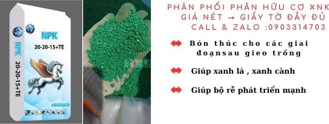 Phân bón hỗn hợp NPK 20-20-15+TE xanh lá canh cành 