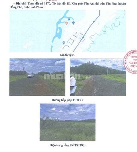 BÁN ĐẤU GIÁ TS MSB L1_KP TÂN AN, TT TÂN PHÚ, ĐỒNG PHÚ, BÌNH PHƯỚC