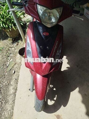 Xe 50cc